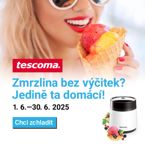 Domácí zmrzlina s Tescomou